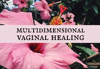 Multidimensional Vaginal Healing