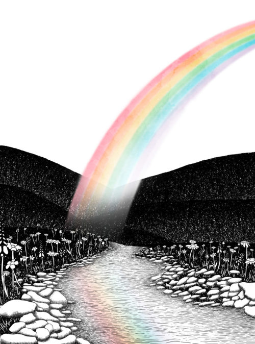 Quiz_Illustrations_01_Rainbow_R6_V2