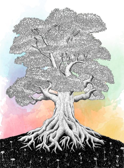 Quiz_Illustrations_02_OldGrowthTree_R9