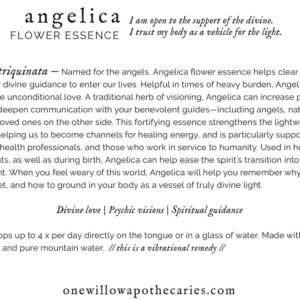 OWA_INFO_CARD_Angelica