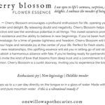 OWA_INFO_CARD_Cherry-Blossom