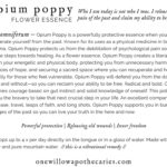 OWA_INFO_CARD_Opium-poppy