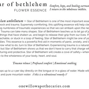 OWA_INFO_CARD_Star-of-Bethlehem